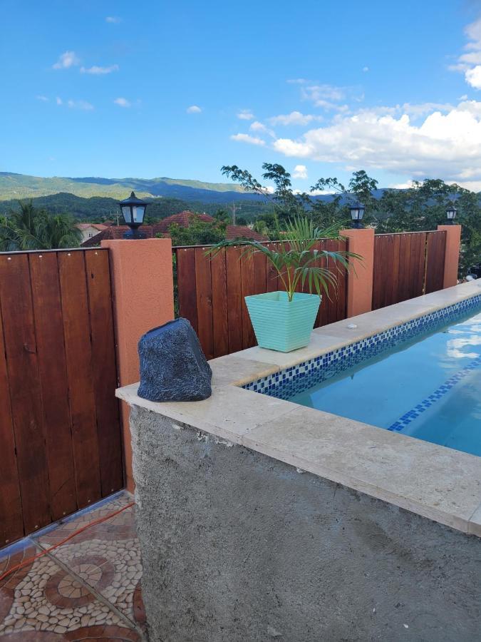 Royal Vybez Vacation Homes スパニッシュ・タウン エクステリア 写真