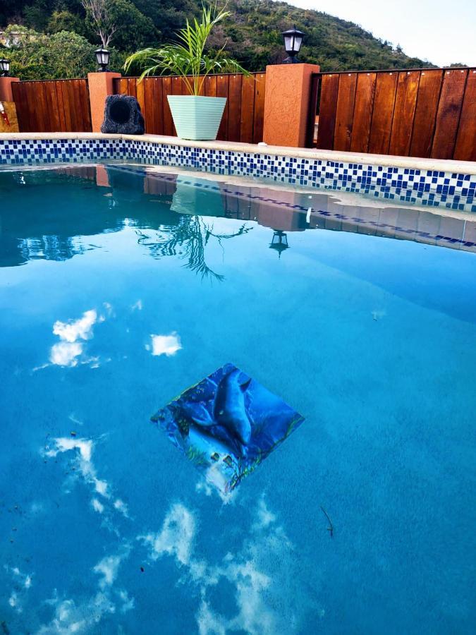 Royal Vybez Vacation Homes スパニッシュ・タウン エクステリア 写真