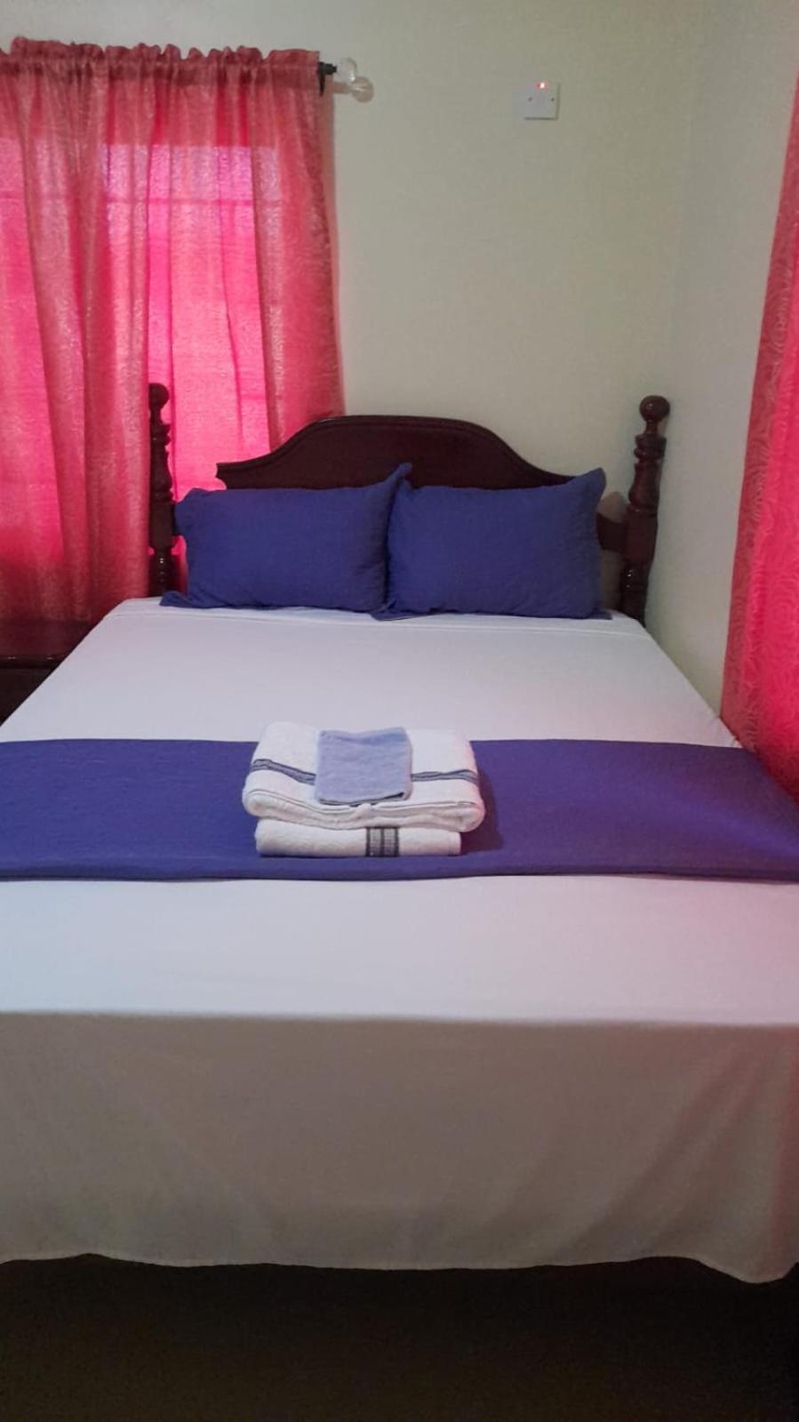 Royal Vybez Vacation Homes スパニッシュ・タウン エクステリア 写真