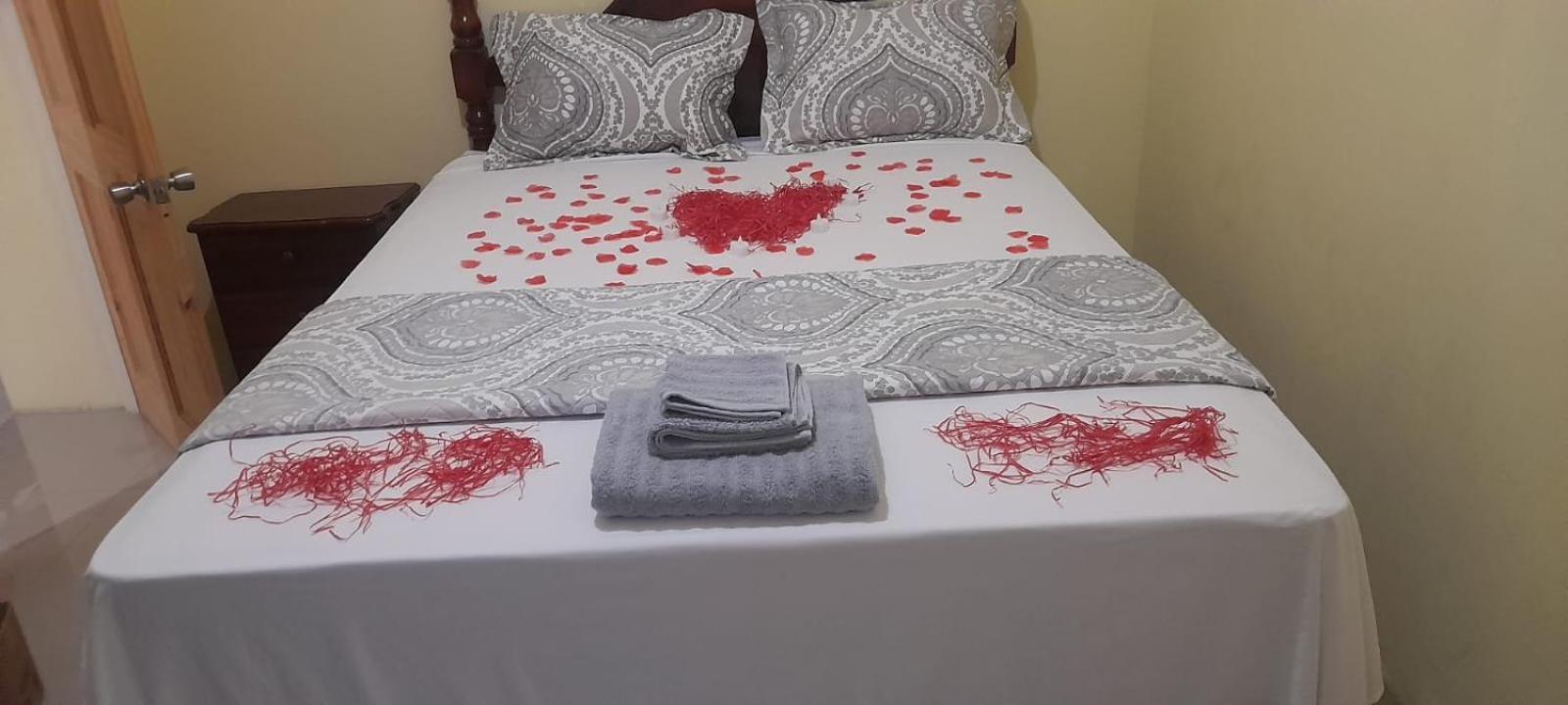 Royal Vybez Vacation Homes スパニッシュ・タウン エクステリア 写真