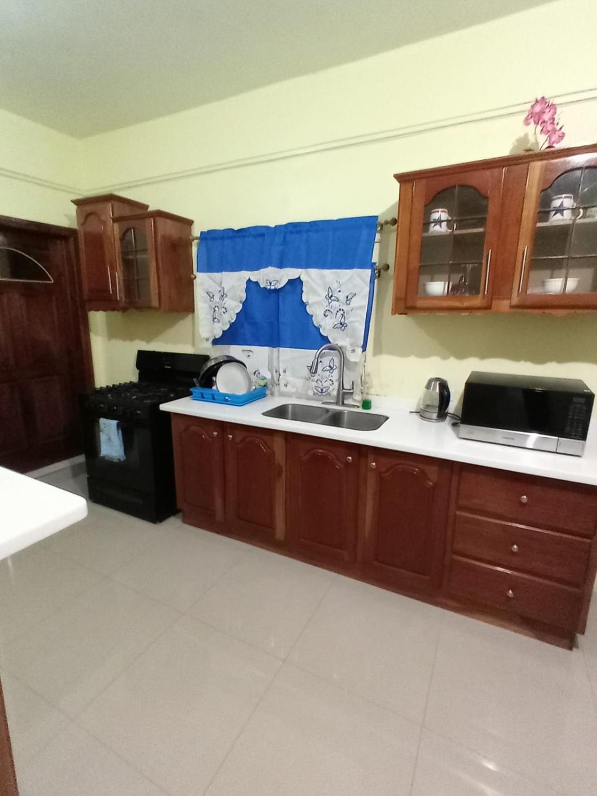 Royal Vybez Vacation Homes スパニッシュ・タウン エクステリア 写真