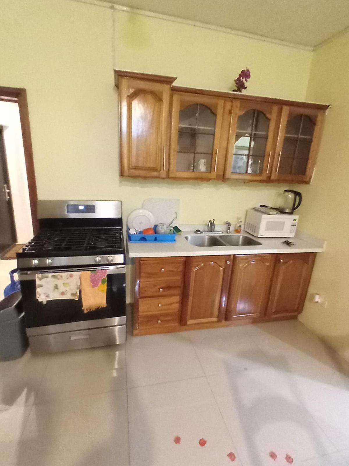 Royal Vybez Vacation Homes スパニッシュ・タウン エクステリア 写真